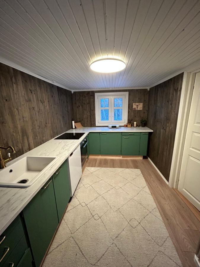 Beautiful Cabin By Mjosa. Βίλα Stange Εξωτερικό φωτογραφία