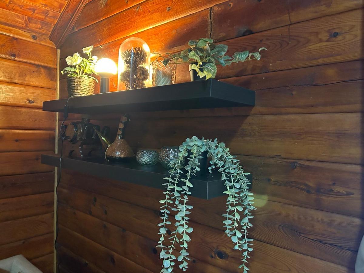 Beautiful Cabin By Mjosa. Βίλα Stange Εξωτερικό φωτογραφία