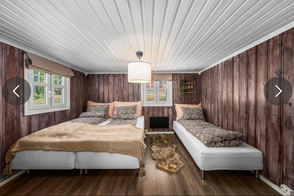 Beautiful Cabin By Mjosa. Βίλα Stange Εξωτερικό φωτογραφία