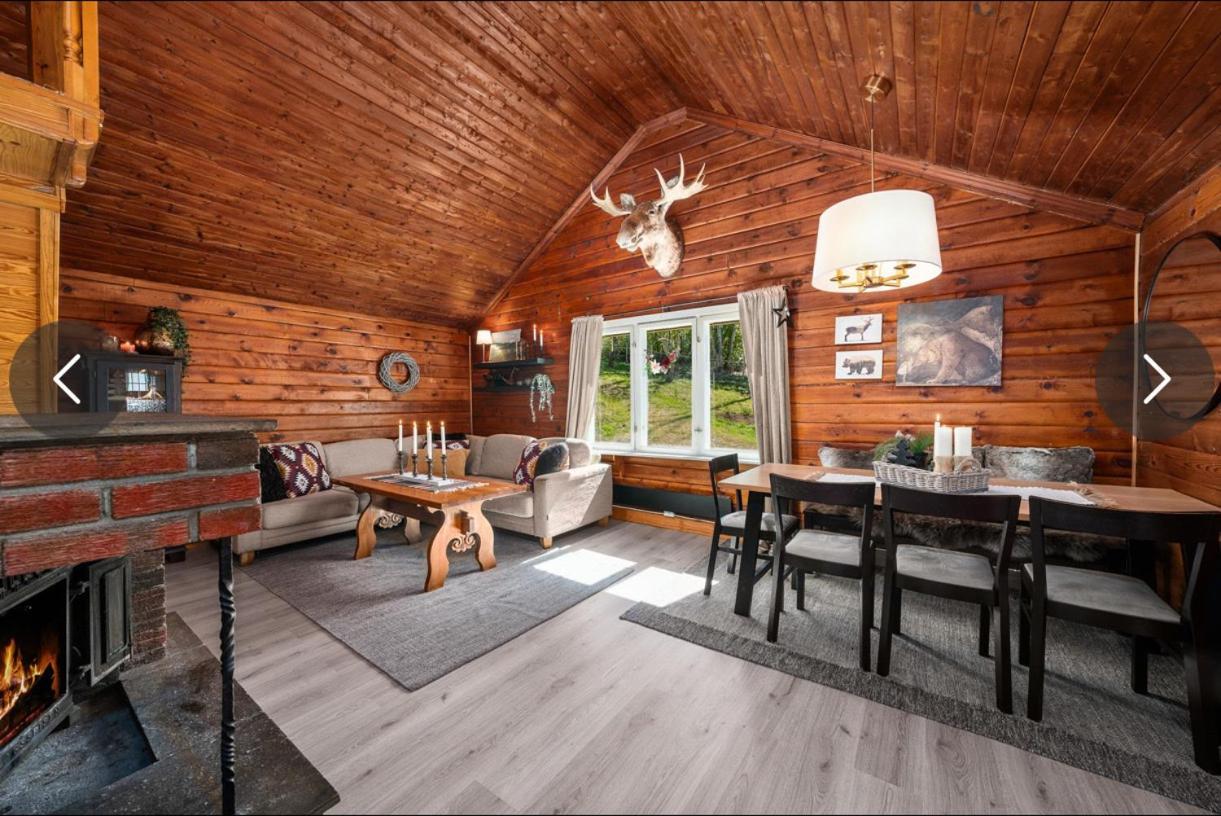 Beautiful Cabin By Mjosa. Βίλα Stange Εξωτερικό φωτογραφία